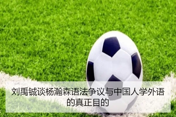 刘禹铖谈杨瀚森语法争议与中国人学外语的真正目的