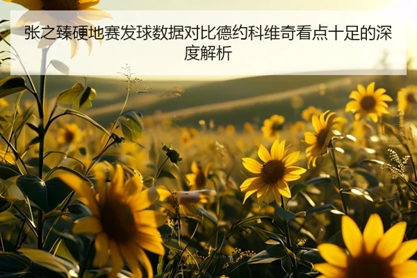 张之臻硬地赛发球数据对比德约科维奇看点十足的深度解析